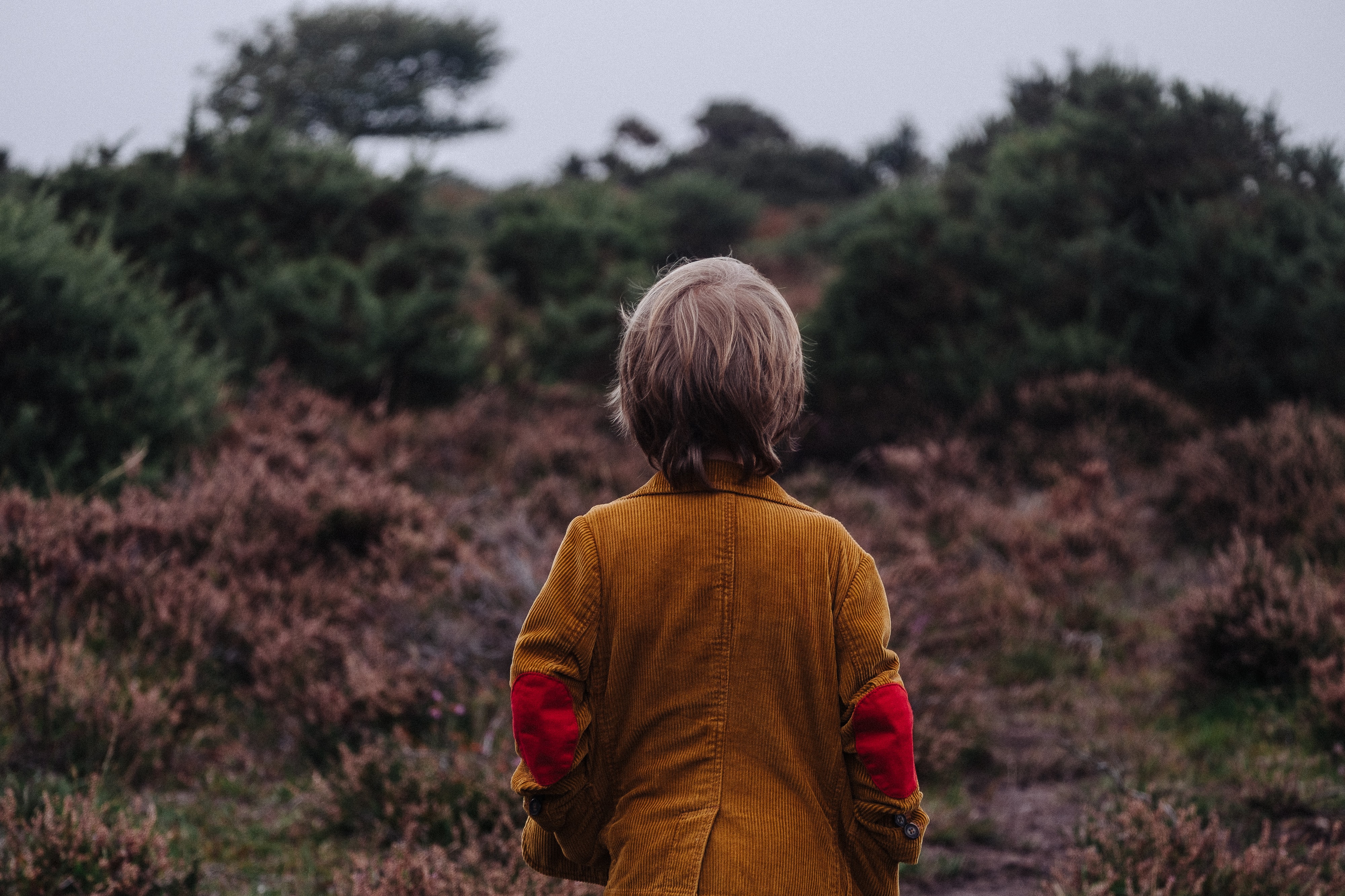 Boy with his back turned looking off into the distance.